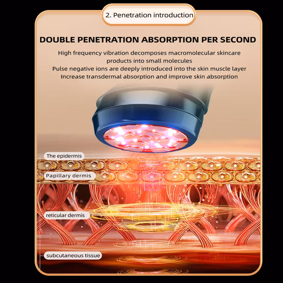 Soins de la peau portatifs beauté du visage équipement à usage domestique dispositif RF équipement de beauté multifonctionnel multifonctionnel